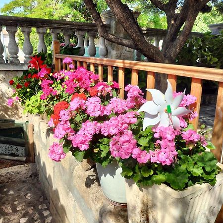 Charmant Appart Avec Jardin Aigues-Mortes Extérieur photo