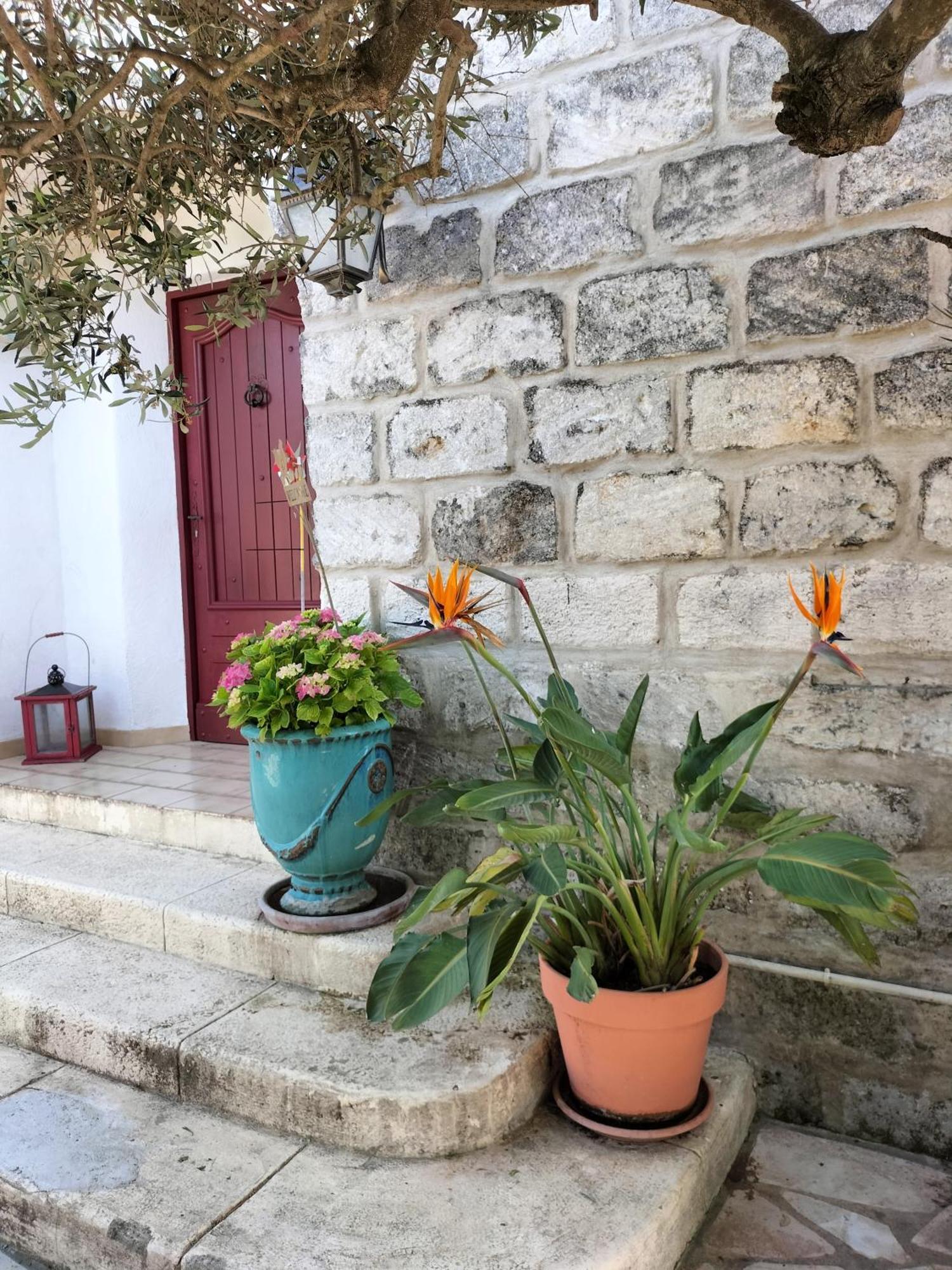 Charmant Appart Avec Jardin Aigues-Mortes Extérieur photo